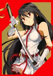 akame-ga-kill-zero-212423