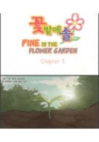 pine-in-the-flower-garden-362145