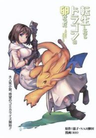 tensei-shitara-dragon-no-tamago-datta-158487