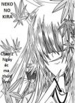 neko-no-kira-387707