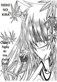 neko-no-kira-387707
