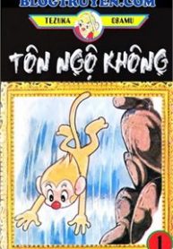 ton-ngo-khong-408175