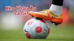 Kèo Châu Âu ww88: Kinh nghiệm cược thành công